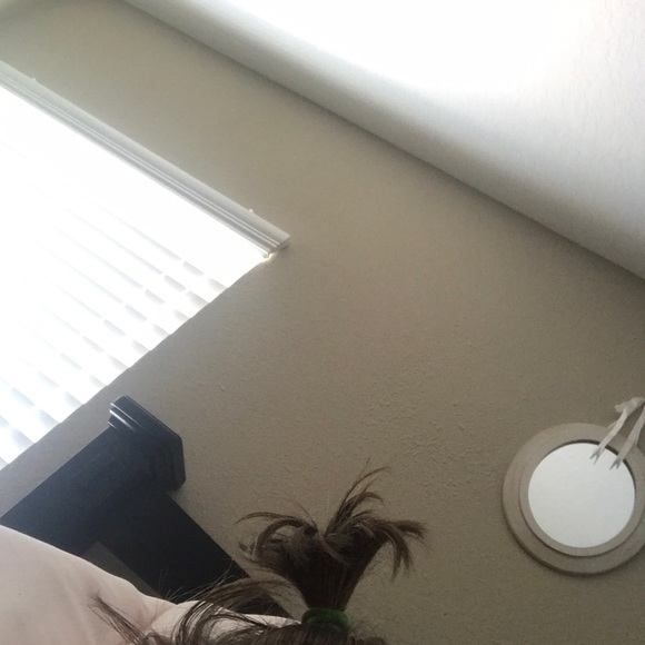 Meet your Posher, Connor - Picture 1 of 1